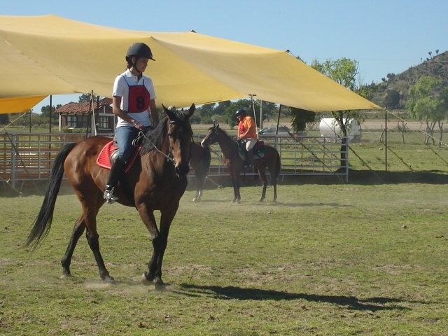Aprendiendo a montar
